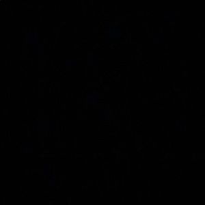 Meet your Posher, Leticia